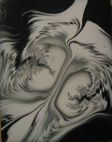 Peinture à l'acrylique sur toile de Nicolas Epinoux: yeux de mouche 