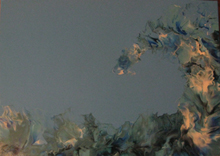 Peinture à l'acrylique sur toile de Nicolas Epinoux: hawaï 